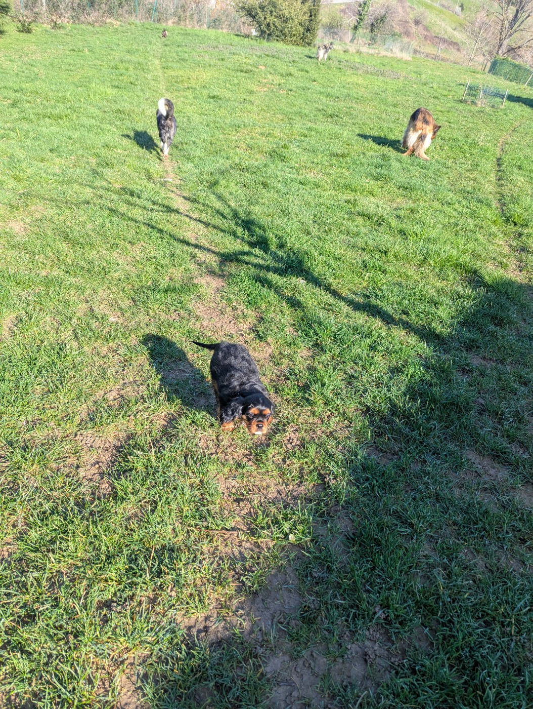 On profite de beau temps