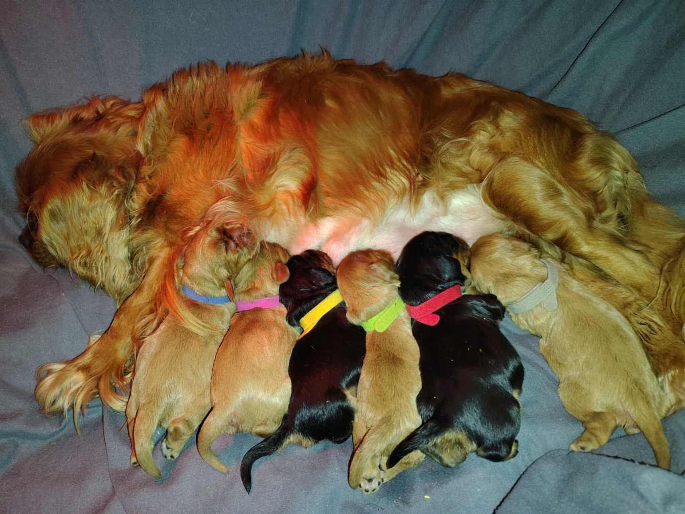 Des bebes sont nés dans le 84